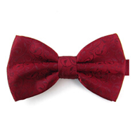 bowknot