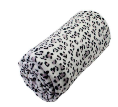 Outdoor Blanket