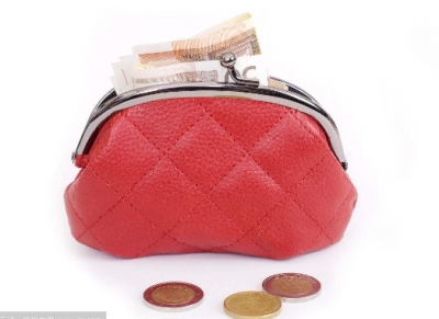 Coin Purse