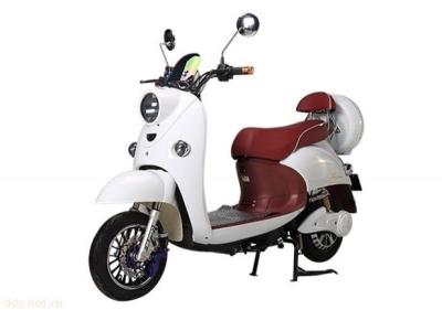  Electric Bicycle