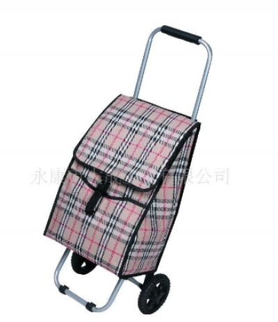 Trolley Case