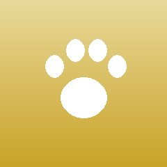 Pet Supplies 